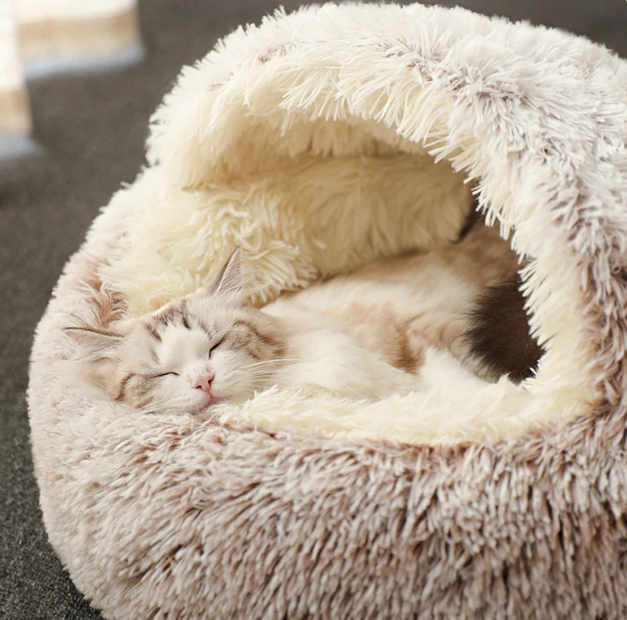 Beautiful Cat Bedding 2